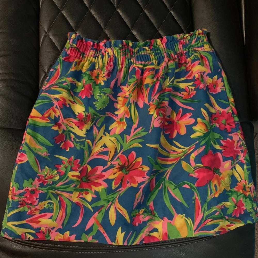 J. Crew skirt